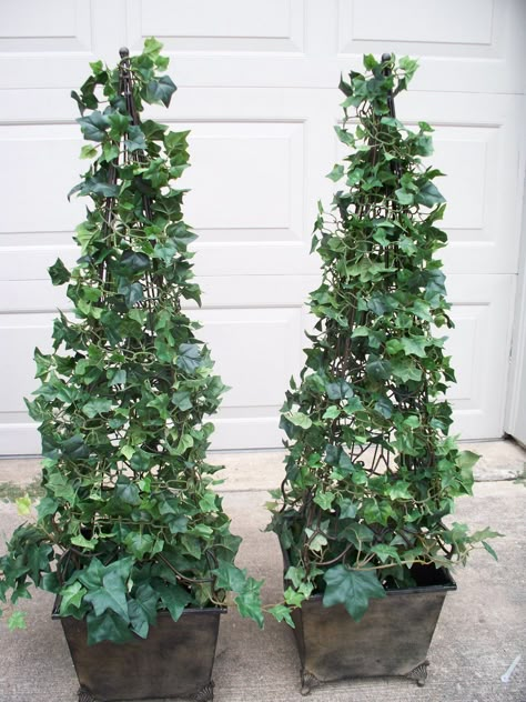 DIY topiary for the front door entry Diy Topiary, Diy Christmas Topiary Front Doors, Plant Topiary, Lighted Topiaries Front Door, Ivy Topiary Diy, Diy Topiary Trees Front Doors, Ivy Topiary, Topiary By Door, Ivy Topiary Outdoor