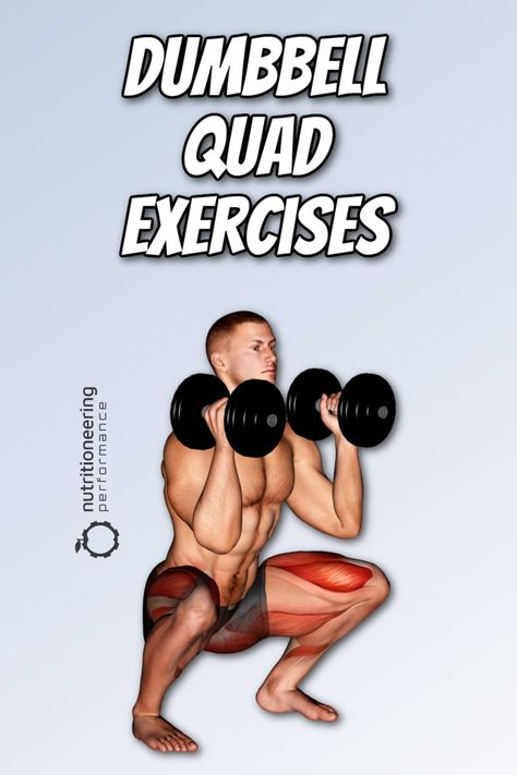 Dumbbell Quad Exercises Pinterest Quad Dumbbell Exercises, Quad Exercises Dumbell, Body Weight Quad Exercises, Quad Exercises With Dumbbells, Quad Exercises At Home, Best Quad Exercises, Big Quads, Leg Muscles Anatomy, Quad Workout