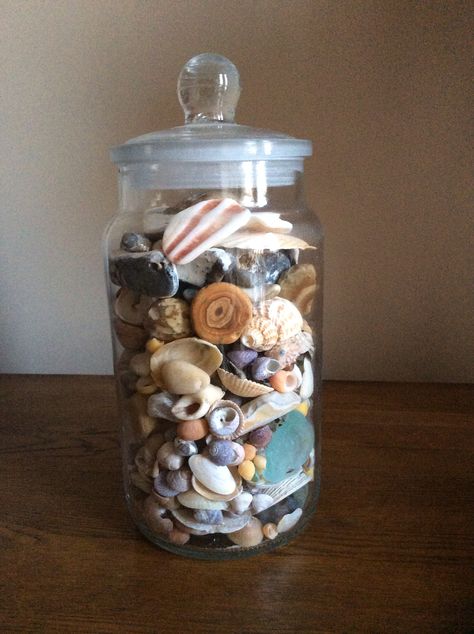 Pretty shells and pebbles in glass jar. Picked up from fondly remembered beach holidays. Shell Collection Aesthetic, Shells In A Jar, Jar Of Shells, Seashell Jar, Pretty Shells, Seashell Display, Beach Themed Bedroom, Beach House Bedroom, Coral Decor