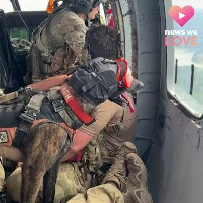 HERO DOG 🇺🇸 Meet K9 Callie, the first search and rescue dog in the entire U.S. Military. She is an official member of the Kentucky Air National Guard and... | By WLKY News Search And Rescue Dogs, Dog Meet, Salute To Service, National Guard, Search And Rescue, Rescue Dogs, Service Dogs, Call Me, Master Chief