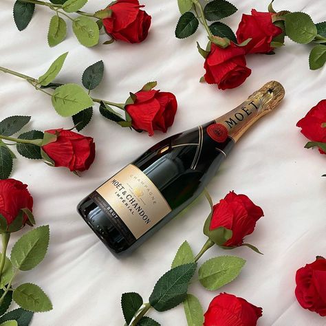 Celeta | Travel & Lifestyle on Instagram: “Valentine’s Vibes are getting me excited. Marriage is fun if you make it. Love and learn to be lovable. The best thing you can do is work…” Valentines Day Champagne, Marriage Is, Wine Time, Champagne Bottle, Travel Lifestyle, You Can Do, Red Roses, Wine Bottle, Champagne