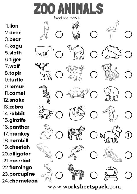 Zoo Animals Worksheets - worksheetspack Zoo Animals Worksheet, Learning Grammar, Animal Worksheets, Preschool Fine Motor, Free Printable Activities, Kindergarten Worksheets Printable, List Of Animals, English Teaching, English Activities