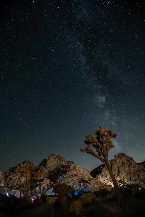 A Complete Guide to Stargazing in Joshua Tree Tree Town, Twentynine Palms, Space Movies, North America Travel Destinations, Yucca Valley, Travel California, Nocturnal Animals, Bustling City, Light Pollution