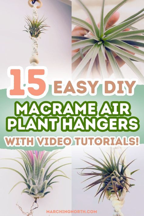 Check out these 15 DIY macrame air plant hangers that effortlessly blend greenery with minimalist decor. Perfect for beginners, these step-by-step video tutorials will have you crafting beautiful plant holders in no time. Level up your space with these stylish and functional creations! | macrame plant hanger pattern | free macrame patterns | boho aesthetic Macrame Hangers Diy, Macrame Air Plant Holder Diy, Macrame Air Plant Hanger Diy Tutorials, Air Plant Macrame Hanger Diy, Spring Macrame Ideas, Macrame Air Plant Hanger Diy, Hanging Air Plants Diy, Diy Air Plant Holder, Macrame Knots For Beginners