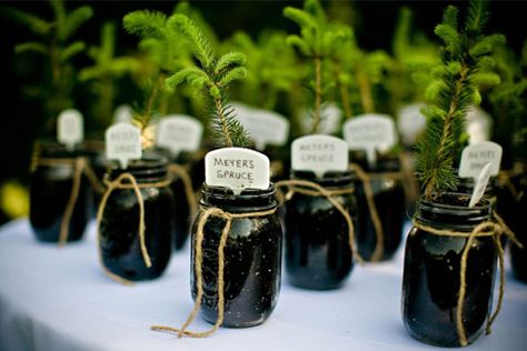 wedding favors: I like the idea of little flowers, perhaps have seed packets for people to take home. Garden Theme Wedding Favors, Wedding Favor Glasses, Tree Wedding Favors, Tree Favors, Eco Friendly Wedding Favors, Plant Wedding Favors, Wedding Plants, Creative Wedding Favors, Favor Gifts