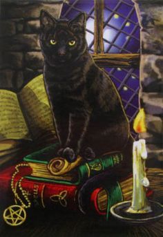 Lisa Parker Artwork - Yahoo Image Search Results Lisa Parker, Chat Halloween, Artwork Gallery, Witch Craft, Image Chat, Black Cat Art, Witch Cat, A Black Cat, Cat Artwork