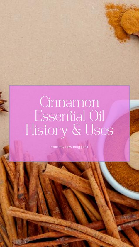 Cinnamon Essential Oil History Uses, and Recipes | Torey Noora | In this post we explore the origins, production process, chemical composition, therapeutic uses, safety considerations, and our favorite essential oil companies that offer this incredible oil | click to read more Cinnamon Perfume, Cassia Essential Oil, Cinnamon Bark Essential Oil, Essential Oil Companies, Lip Balm Containers, Cinnamon Essential Oil, Essential Oil Mixes, Glass Spray Bottle, Spicy Fragrance