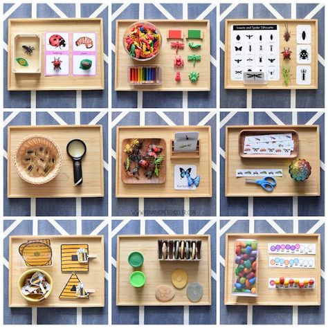 Insect Themed Learning Trays for Toddlers Montessori Bug Activities, Learning Trays Preschool, Montessori Activity Trays, Montessori Tray Activities, Montessori Themes Preschool, Insect Montessori Activities, Montessori Inspired Activities, Montessori Ideas For Toddlers, Insects Activities Preschool