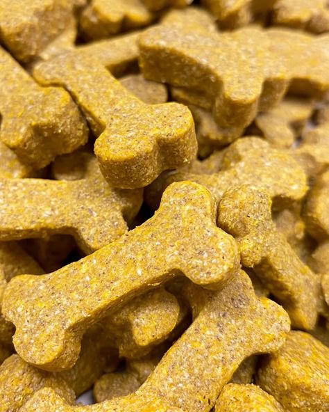 Chicken & Pumpkin Delight Biscuits for dogs packed with wholesome ingredients. Make a healthy treat your dog will love today! Chicken And Pumpkin Dog Treats, Healthy Dog Biscuits, Chicken Pumpkin, Pumpkin Delight, Dog Biscuits Homemade, Dog Biscuit Recipes, Chicken For Dogs, Pumpkin Dog Treats, Healthy Treat