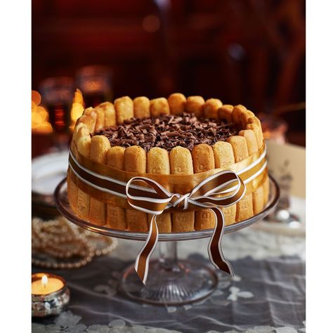 Chocolate Charlotte russeghkuk Charlotte Russe Dessert, Charlotte Russe Cake, Chocolate Charlotte, Chocolate Easter Cake, English Recipes, Charlotte Cake, Torte Cupcake, Sponge Cake Recipes, King Food