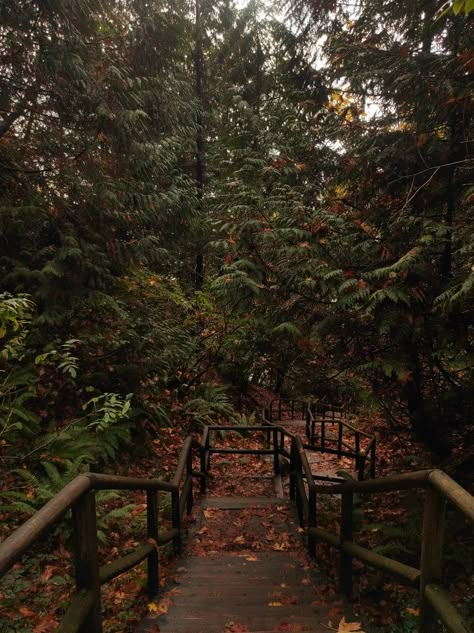 fall|trail|aesthetic Hiking Trails Aesthetic, Autumn Running Aesthetic, Strange Trails Aesthetic, Running Trail Aesthetic, Fall Running Aesthetic, Fall Fitness Aesthetic, Walking Trail Aesthetic, Hiking Aesthetic Fall, Hiking Trail Aesthetic