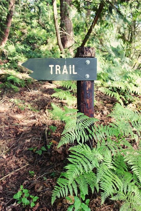 Nature Trail Design, Nature Trail Signs, Island Landscaping, Zoo Sign, Cabin Decor Diy, Outdoor Hangout, Trail Ideas, Trail Markers, Vegetable Stand