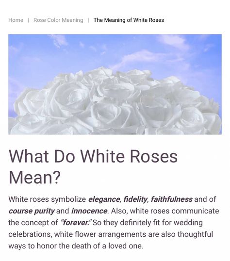 Meaning Of White Roses, White Rose Meaning Quotes, White Rose Quotes Love, White Rose Quotes, White Rose Symbolism, White Roses Meaning, White Rose Aesthetic, Baudelaire Aesthetic, White Roses Aesthetic