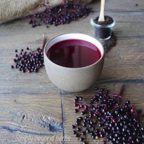 How to make elderberry tea - 4 ways Elderberry Tea Recipe, Vegan Beverages, Elderberry Benefits, Elderberry Tea, Elderberry Recipes, Fermented Veggies, Recipe Cover, Clam Recipes, Herb Recipes