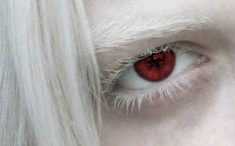 Red Eyes Fantasy, Red Eye Aesthetic, White Haired Vampire, White Vampire Aesthetic, Red Eyes Aesthetic, White Hair Vampire, White Hair Aesthetic, White And Red Aesthetic, White Hair Oc