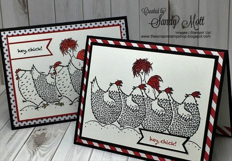 Stampin Up Animal Cards, Hey Birthday, Chicken Cards, Home To Roost, Crazy Birds, Bee Designs, Bird Cards, Stamping Up Cards, Animal Cards