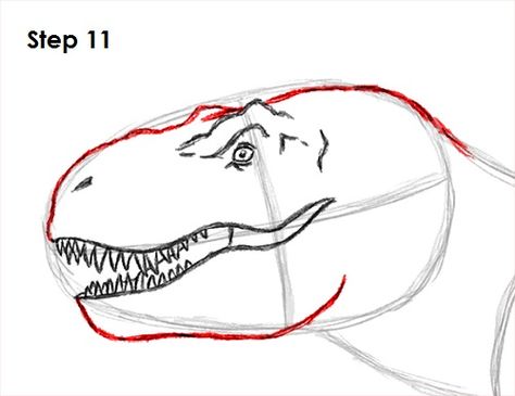 How To Draw Dinosaurs Step By Step, T Rex Sketch, How To Draw A T-rex, T Rex Video, Animal Drawing Tutorial, Dinosaurs Drawing, T Rex Drawing, Rex Drawing, Dinosaur Reference