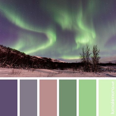 Aurora Boreal #4 Northern Lights Color Palette, Aurora Sky, Nature Color Palette, Sky Color, Summer Color Palette, Aurora Borealis, Summer Colors, Natural Color, Color Pallets