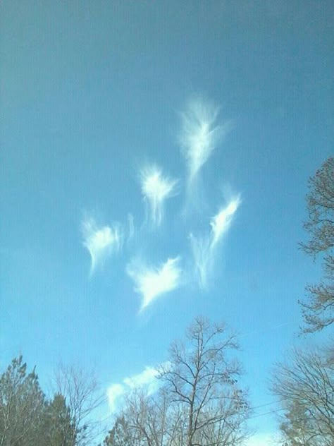 Group of Angels in the sky Pictures Of Angels Real, Angelic Clouds, Pictures Of Angels, Angels In The Sky, Angel Sightings, Sky Angel, Uncle Phil, Angel Clouds, Real Angels