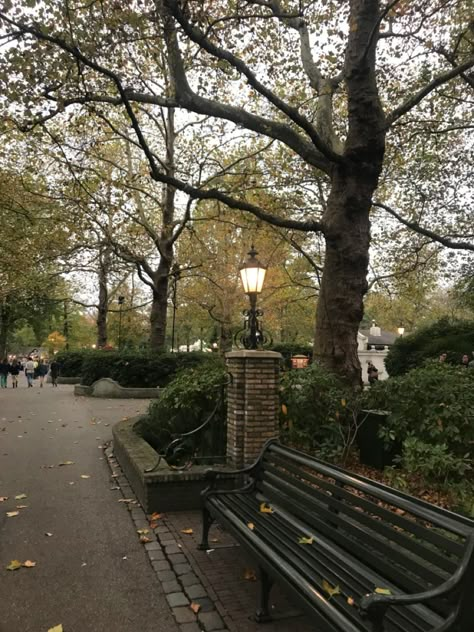 Park Bench Aesthetic, Picnic For One, Bench Aesthetic, Folklore Songs, Perspective Grids, Maria Aesthetic, Reading Park, Evermore Aesthetic, 3d Perspective