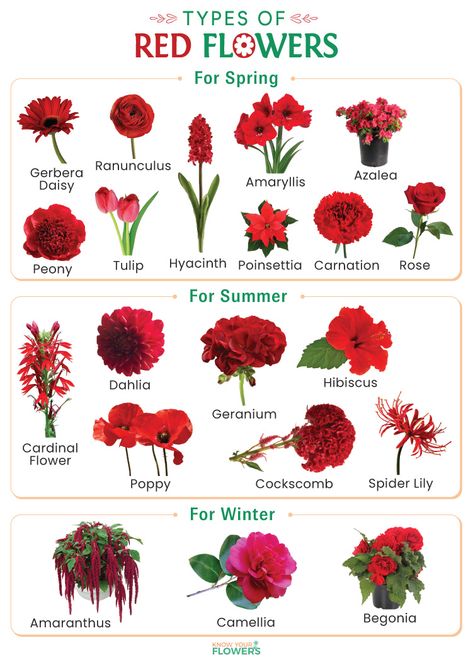 Flowers By Color, Types Of Red, Cardinal Flower, List Of Flowers, Red Black Green, Flower Meanings, Flowers Purple, True Red, Orange Brown