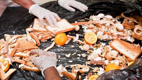 UAE official says fines for household food waste being considered — The National Food Waste, The National