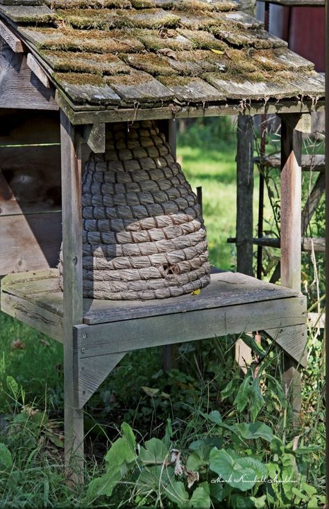 Sheltered Bee Skep Bee Skep House, Bee Skeps, Primitive Garden Decor, Bee Skep, Bee Hives, Bee Boxes, Into The West, Cottage Garden Design, Bee Garden