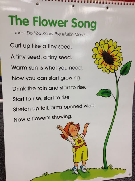 The Flower Song Gardening Study Preschool, Flower Preschool, Gardening Activities For Kids, Storytime Songs, Flower Song, Spring Poetry, Bean Stalk, Nature Preschool, Toddler Songs