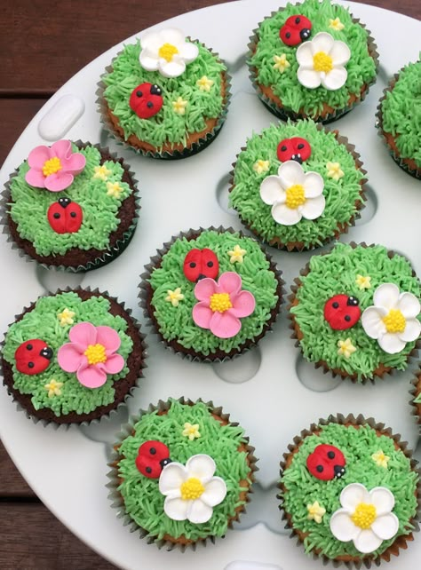 Cup cakes for a picnic theme Picnic Themed Cupcakes, Flower Garden Cupcakes, Lily Pad Cupcakes, Picnic Cupcakes Ideas, Bug Cupcakes For Kids, Summer Flower Cupcakes, Garden Cupcakes Ideas, Gardening Cupcakes, Jumbo Cupcake Ideas