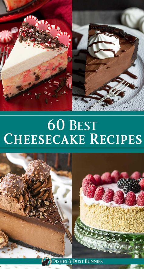 Cheesecake Recipes Birthday, Top Cheesecake Recipes, Different Flavor Cheesecake Recipes, Different Kinds Of Cheesecake, Uncooked Cheesecake Recipes, Cheesecake Flavours Ideas, Unusual Cheesecake Recipes, Pretty Cheesecake Designs, Fun Cheesecake Flavors