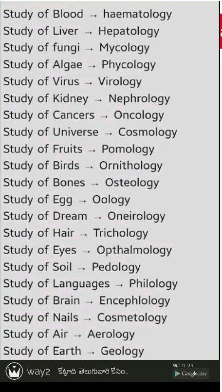 Study Paper, अंग्रेजी व्याकरण, Tatabahasa Inggeris, Medical Quotes, Sms Language, Biology Facts, Study Flashcards, Gk Knowledge, Essay Writing Skills