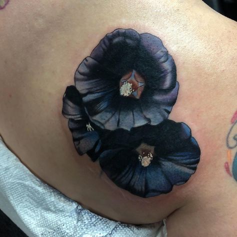 Susannah Griggs Tattoo on Instagram: “Part one of this black Hollyhock coverup. It’s so funny to see the amount of black I want to pump into all of my work compared to my…” Holly Hock Tattoo, Indy Tattoos, Hollyhock Tattoo, Black Hollyhock, Cover Up Tattoos, So Funny, Tattoo On, Tattoo Artist, Body Art Tattoos