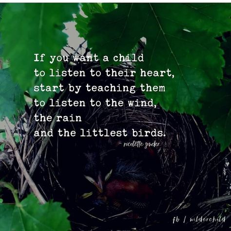 The Energy Experience on Instagram: “Yes to this...” Indigo Children, Connect With Nature, Conscious Parenting, Study Quotes, Outdoor Classroom, One With Nature, Nature Study, Nature Quotes, Wild Child