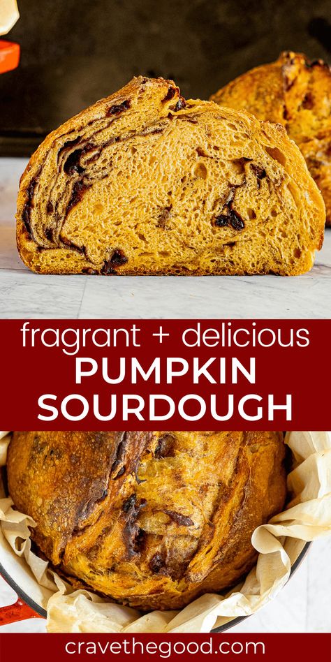 Pumpkin sourdough bread is the perfect way to celebrate fall. It’s packed with pumpkin spice and cranberries, so it’s sweet and savory at the same time. This delicious bread will be your family's favorite this holiday season! You can make this amazing pumpkin sourdough and enjoy it any day of the week. Plus we've included step by step instructions that even beginners can follow. We're sure once you try it out yourself at home, everyone will want seconds of this tasty treat! | cravethegood.com Pretty Artisan Bread, Pumpkin Bread Artisan, Fall Artisan Bread, Pumpkin Cinnamon Swirl Sourdough, Pumpkin Sour Dough Bread Recipe, Pumpkin Brown Sugar Sourdough, Healthy Fall Bread, Bread Recipes Fall, Preppy Kitchen Sourdough Bread