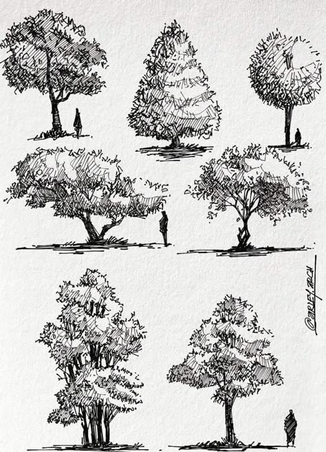 Nature Pen Drawing, Plant Sketch Pencil, Landscape Pen Drawing, Landscape Sketch Nature, Pen Landscape, Hatching Drawing, Tree Line Drawing, Ink Drawing Techniques, Plant Sketches