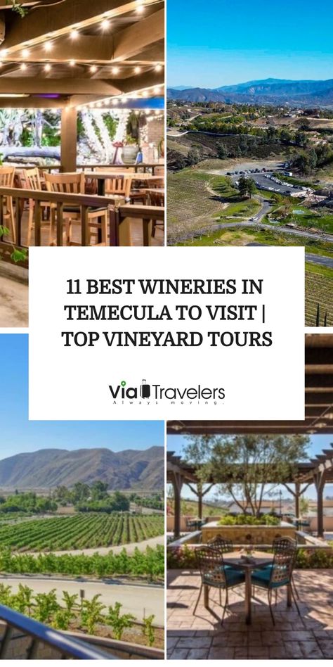 These top-rated wineries in Temecula are perfect for wine-tasting and make for a great way to spend a day in the valley. Here are our favorites. Temecula Valley Wineries, 21 Bday Party, 2025 Travel, San Diego Trip, Temecula Wineries, 21 Bday, Vineyard Tour, Enjoy Your Trip, Temecula California