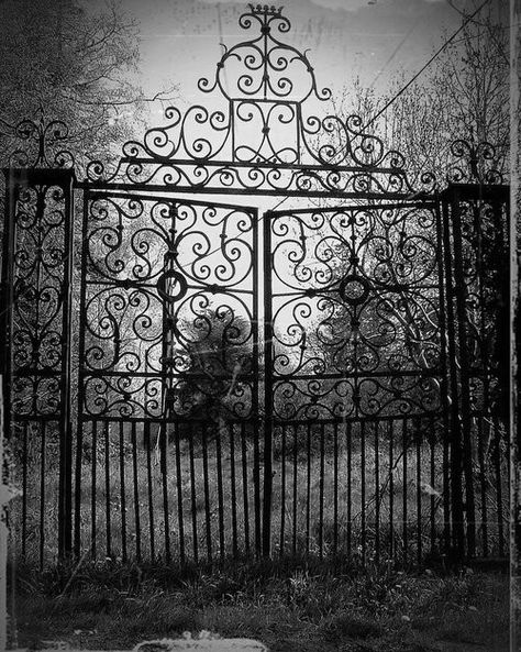 Old cemetery entrance gate Gothic Garden, Old Cemeteries, Golden Gate Park, Southern Gothic, Gothic Aesthetic, Iron Gates, Iron Gate, Garden Gate, Six Feet Under