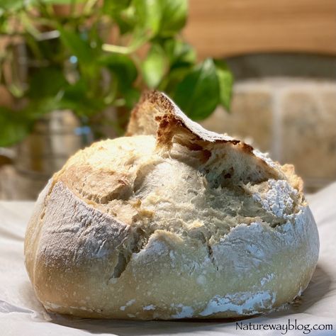 Sourdough Bread Using A Levain Levain Bread Recipe, Bake Sourdough Bread, Dough Starter, Vital Wheat Gluten, Sour Dough, Pasta Plates, Perfect Pasta, Wheat Gluten, Family Favorite Meals