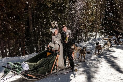 Planning an amazing elopement experience is easy! We also offer hiking, snowmobile, jeep, and even helicopter weddings! #coloradomicroweddings #elopement #smallwedding #adventurewedding #dogsledding #coloradowedding Colorado Adventures, Hot Air Balloons, Adventure Wedding, Dog Sledding, Air Balloons, Adventure Elopement, Colorado Wedding, Snowmobile, Small Wedding