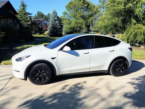 Pics of white Y with and without Gemini covers | Page 4 | Tesla Motors Club Tesla Model Y White, Tesla Auto, White Tesla, Tesla Suv, Boxer Fighter, Car Tesla, Tesla Aesthetic, White Suv, Black Success