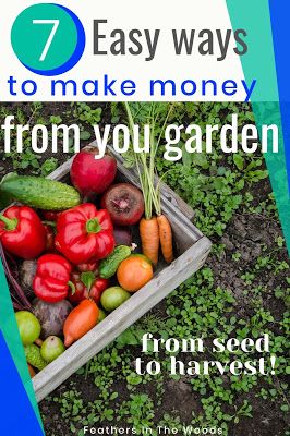 Make Money Gardening, Money Attracting Herbs, Making Money On Homestead, Organic Vegetable Garden, Organic Gardening Tips, Farm Stand, Hydroponic Gardening, Seasonal Garden, Organic Vegetables