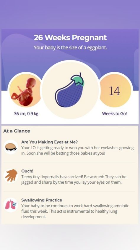 17 Weeks Pregnant, Pregnancy Chart, 6 Weeks Pregnant, Baby Countdown, 26 Weeks Pregnant, 33 Weeks Pregnant, Pregnancy Week, How To Grow Eyelashes, Mommy Time