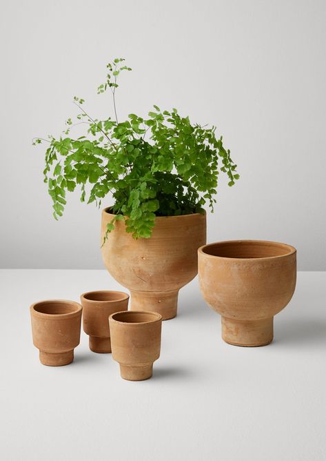 Simple Clothing, Unique Planter, Terracotta Planter, Pottery Classes, Clay Sculpture, Terracotta Pots, Earthy Colors, Ceramic Pot, Cacti And Succulents