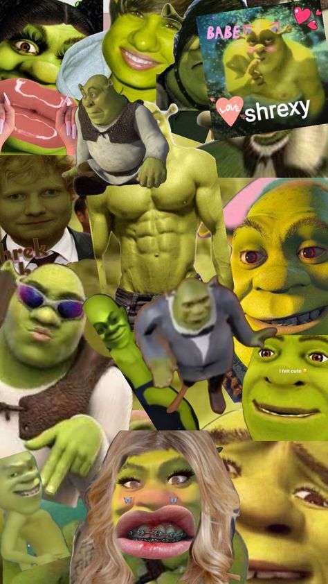 Shrek Aesthetic Cute, Shrek Funny, Shrek Memes, Food Collage, Spongebob Pics, Unicorn Wallpaper, Funny Iphone Wallpaper, 9th Grade, Crazy Funny Pictures