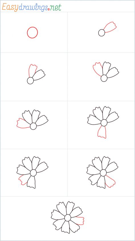 How to Draw a Marigold step by step - [9 Easy Phase] Marigolds Drawing Easy, How To Draw Marigolds Step By Step, Easy Marigold Drawing, How To Draw A Marigold Step By Step, How To Draw A Marigold, Draw Marigold Flower, How To Draw Marigolds, Marigold Sketch, Hobonichi Journal