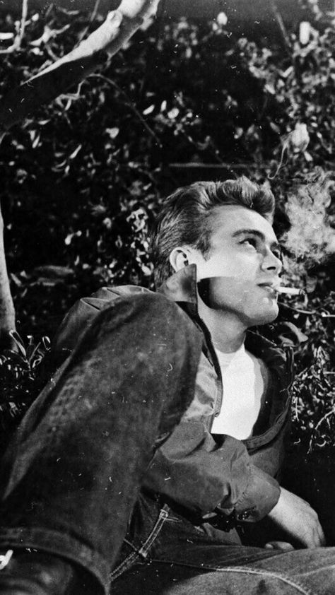 James Dean Photos, This Side Of Paradise, Jimmy Dean, Hollywood Men, Humphrey Bogart, Marlon Brando, James Dean, Golden Age Of Hollywood, Hollywood Actor