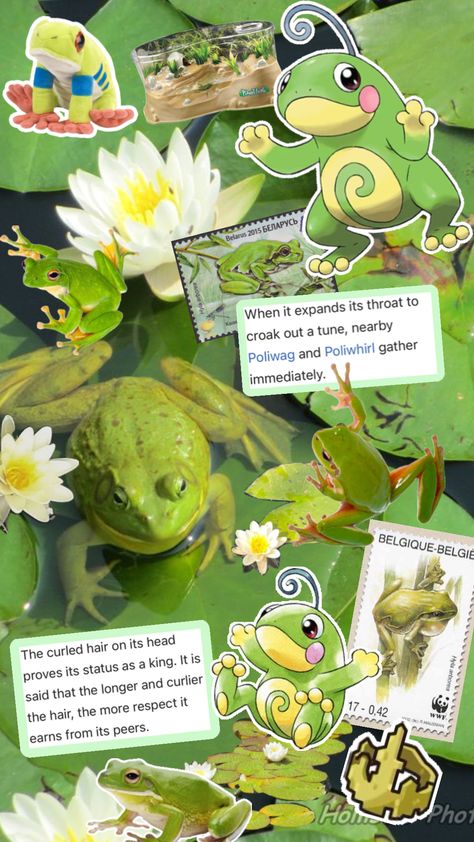 Politoed, the Frog Pokémon #politoed #pokemon #frog #treefrog #lilypads #green #lightgreen #watertype #pond #johto Frog Pokemon, Kartu Pokemon, Water Type, Gaming Memes, Pocket Monsters, The Frog, Do You Really, Aesthetic Images, Curled Hairstyles