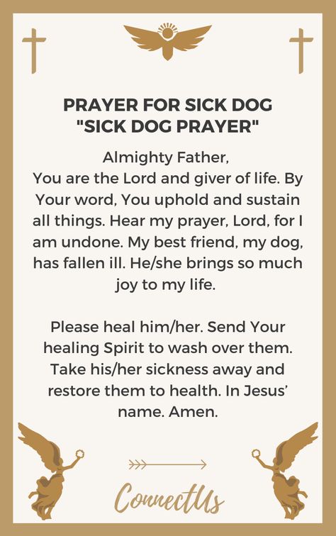 Prayer For Sick Dog, Comforting Prayers, Encouraging Prayers, Prayer For Rain, Healing Prayers, Marriage Restoration, Warfare Prayers, Healing Verses, Healing Prayer