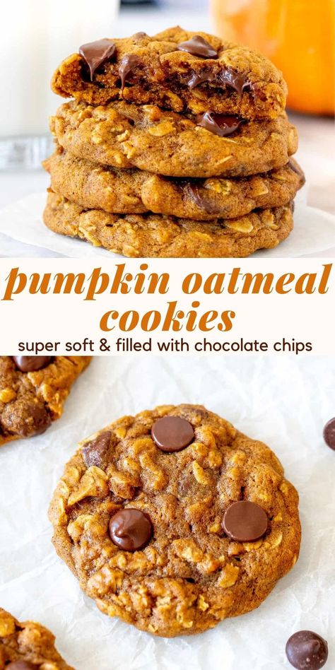 Pumpkin Oat Chocolate Chip Cookies, Oatmeal Pumpkin Cookies, Pumpkin Oatmeal Chocolate Chip Cookies, Oat Chocolate Chip Cookies, Oatmeal Pumpkin, Cookies Pumpkin, Pumpkin Oatmeal Cookies, Pumpkin Oats, Pumpkin Chocolate Chip Bread