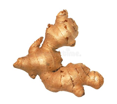 Ginger root / rhizome. Whole ginger root isolated on white background , #AD, #rhizome, #root, #Ginger, #ginger, #background #ad Try New Things, Ginger Root, Do It Yourself, Go Green, Ginger, White Background, Photo Image, Lion Sculpture, Royalty Free Stock Photos